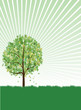Vector: tree tree