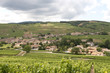 Photo: Vineyards in Burgendy region Vineyards in Burgendy region