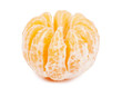 Tangerine Tangerine