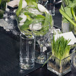 romantic party. Valentine's day