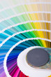 Pantone