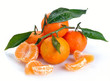 clementines with segments with drop