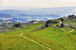 Tuscany landscape, Italy Tuscany landscape, Italy
