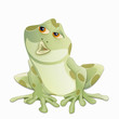 frosch freigestellt
