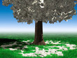 Money Tree Money Tree