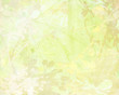 Pale Flower Art on Paper Background Pale Flower Art on Paper Background