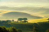 Toskana Huegel  - Tuscany hills 38 - Fine Art prints