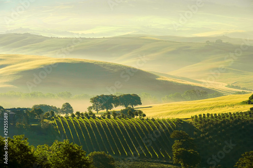 Foto: Toskana Huegel - Tuscany hills 38 Toskana Huegel - Tuscany hills 38