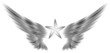 isolated wing and star on white background