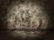 Illustration: kellerwand 1 kellerwand 1