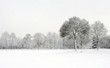 Photo en ligne au meilleur prix Snowy winter landscape