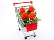 Shopping Trolly with Roses