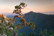 Sokolica in Pieniny Poland