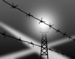 barbed wire on gray background barbed wire on gray background