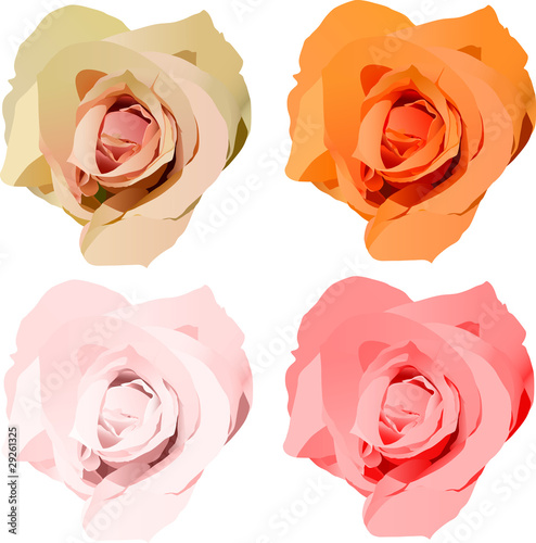 400_F_29261325_2EAW3CMnUjQQ53gYdsjo2wb9p