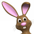 bunny with flapped ear