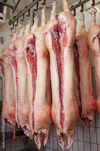 Foto: schweinehälften im schlachthaus schweinehälften im schlachthaus