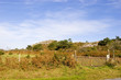 landscape of country in brittany