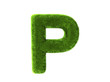 Grass p