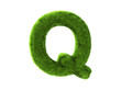 Grass q