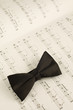 Conductor bow tie