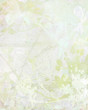 Pale Flower Art on Paper Background Pale Flower Art on Paper Background