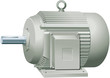 Electric motor