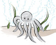 Ocean Octopus Ocean Octopus