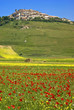 Foto: Monti Sibillini: Primavera a Castelluccio di Norcia Monti Sibillini: Primavera a Castelluccio di Norcia