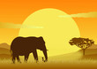 Elefant