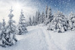 winter in mountains