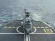 Puma sur un pont d'envol