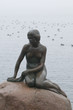The little mermaid statue in the Copenhagen harbour The little mermaid statue in the Copenhagen harbour