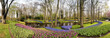 Keukenhof Holland