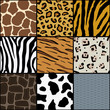 Seamless Animal Texture