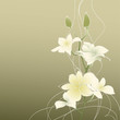 Floral background Floral background