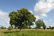 karitè