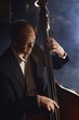 Double Bass Player