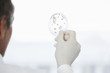 Male lab worker holding petri dish to the light