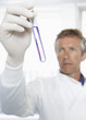 Male lab worker holding petri dish to the light