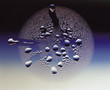 Water droplets