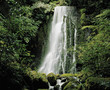 Photo: Cascade waterfall in rainforest Cascade waterfall in rainforest