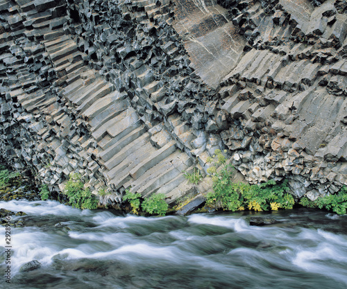 Photo: Plants and river at base of columnar basalt cliff Plants and river at base of columnar basalt cliff