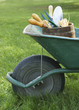 Wheelbarrow with Gardening Tools