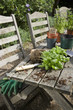 Materials for Potting Plants on Picnic Table