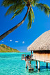 Bungallow and palm with steps to amazing lagoon Bungallow and palm with steps to amazing lagoon