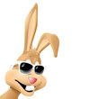 bunny with white sunglasses bunny with white sunglasses