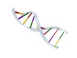 DNA