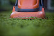 Cutting the grass with a lawnmower, close-up