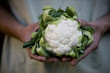 A man holding a cauliflower